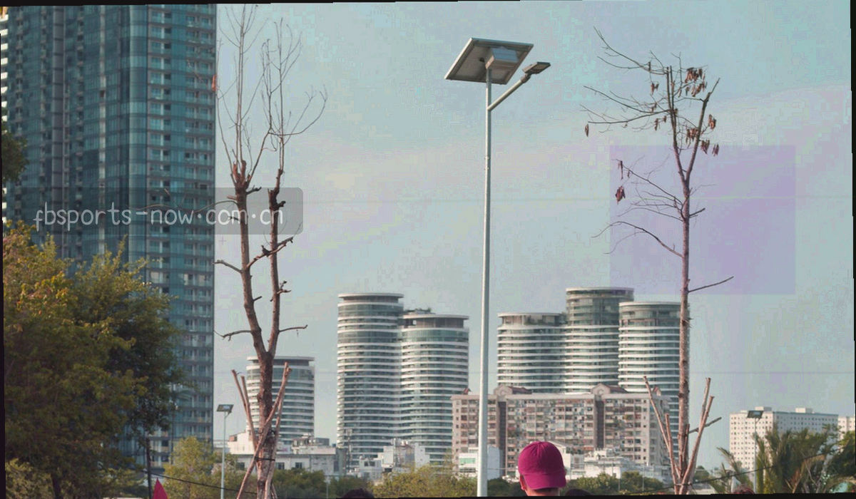 采集、校验、第二人复核、发布四个环节以细线与荧光绿节点连接的抽象流程图